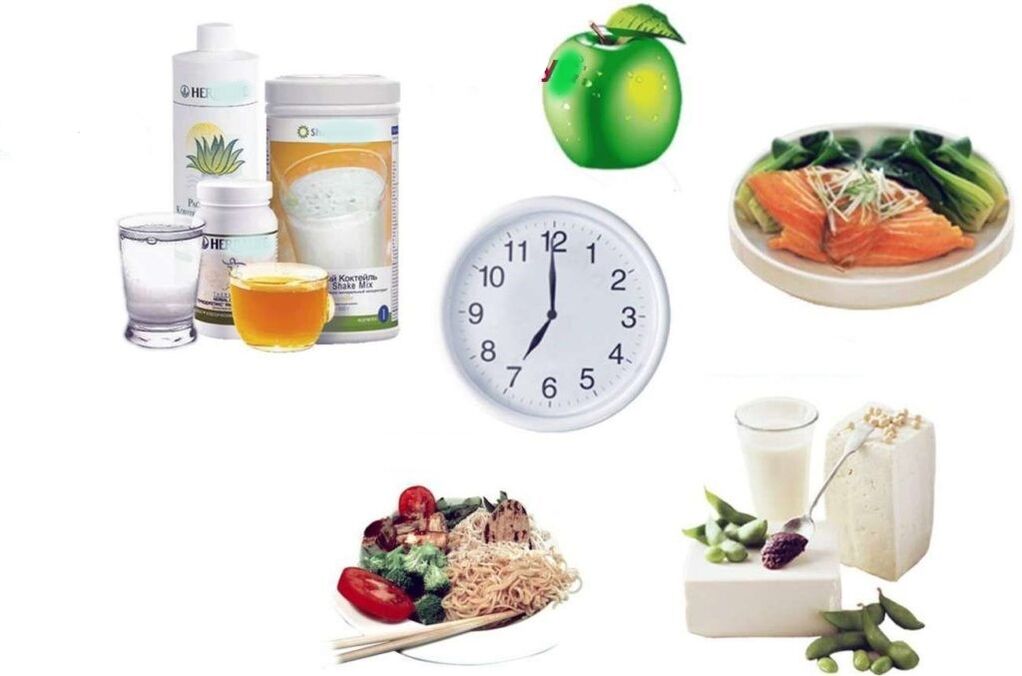 proper diet plan for weight loss
